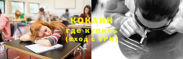 шишки Майский