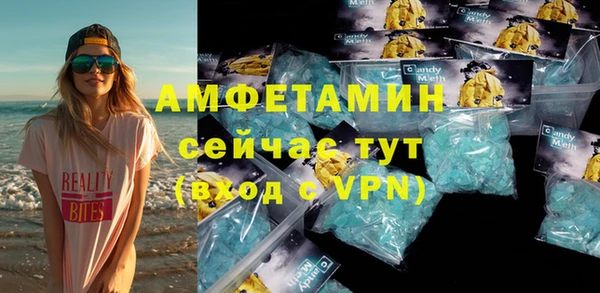 шишки Майский