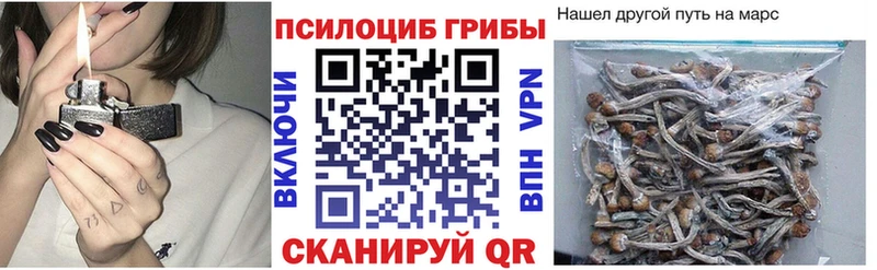 Галлюциногенные грибы Psilocybine cubensis  Щучье 